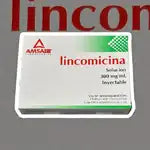 LINCOMICINA SOL INYECTABLE C/6 AMP 300 MG/1 ML