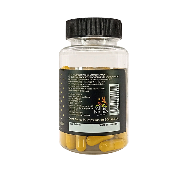 PIÑADEL 500 MG C/ 60 CAP.