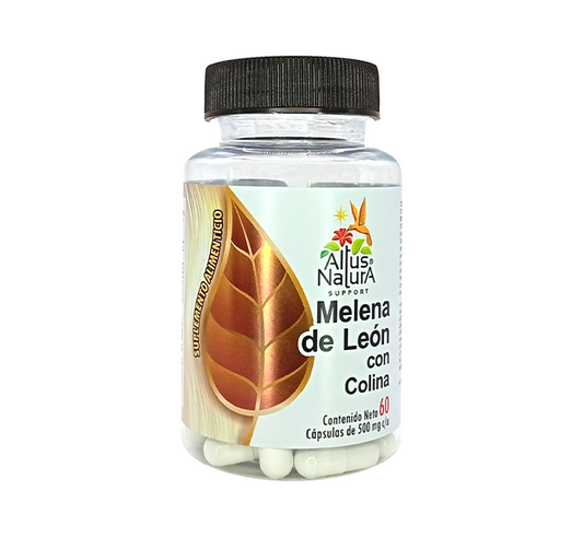 MELENA DE LEON CON COLINA 500MG 60 CAPS