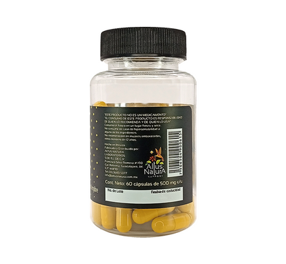 PIÑADEL 500 MG C/ 60 CAP.